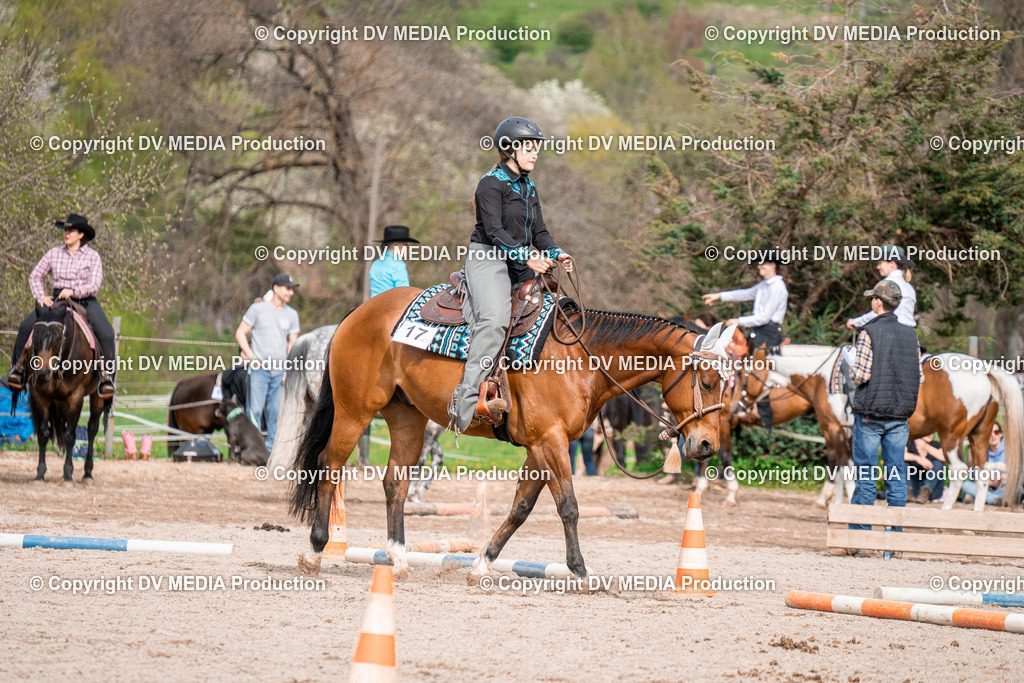 BAL02664 | dv-media-shop - Realisiert mit Pictrs.com