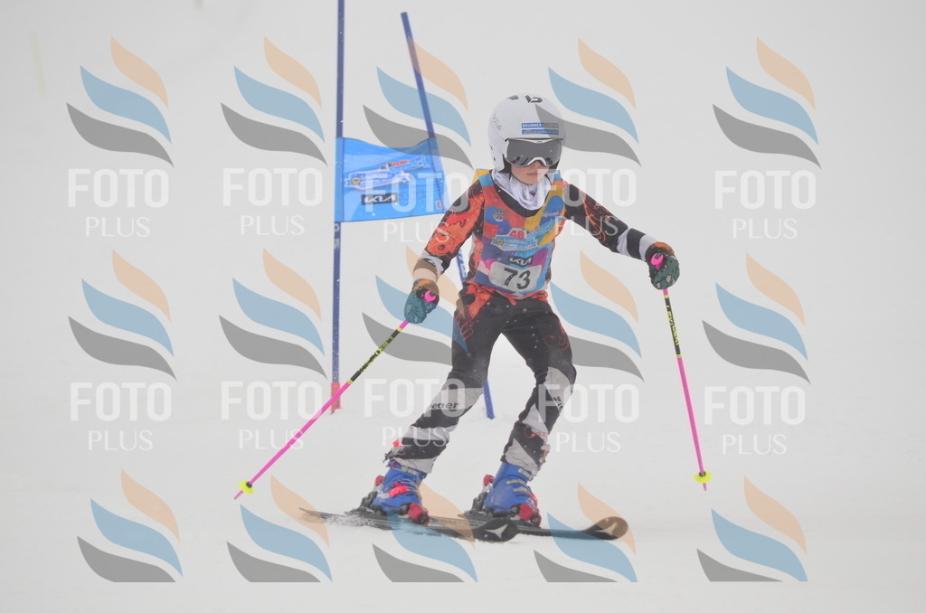 C1185 | holidayphoto