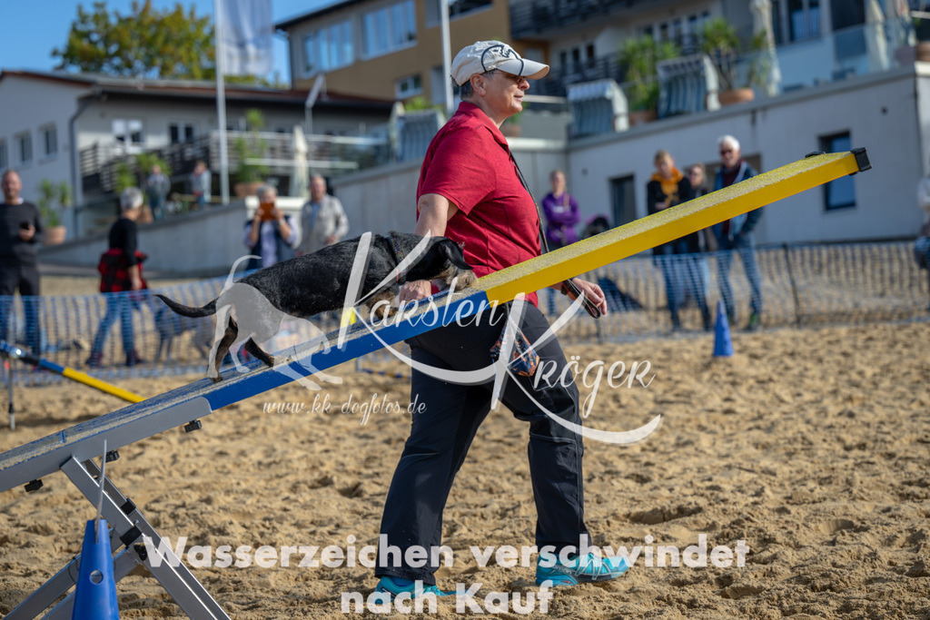 1101_ZZ90064 | kk-dogfotos
