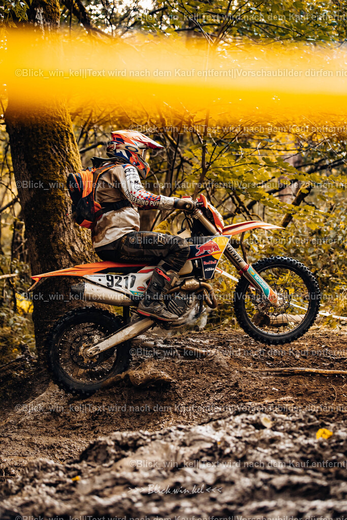 E68A6204 | blick_win_kel