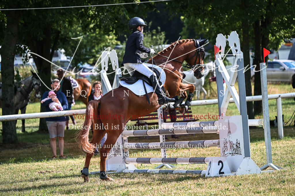 DSC_7779 | Pferde- und Turnierfotografie in Westsachsen. Pferdeportraits, Auftragszeichnungen und intuitive Kunst.