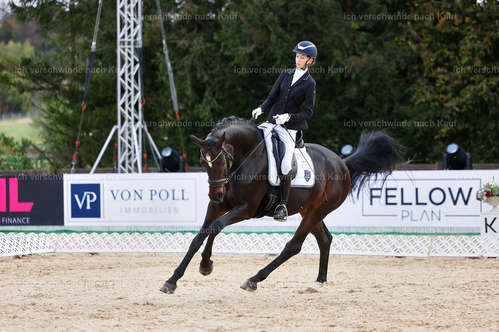 02-236-DRESSUR L_  -StoibPH-4729 | working equitationturnier fotograf videograf stoibphotography marixx film working equitation deutschland reitsport turnierfotografie eventfotografie equestrian events