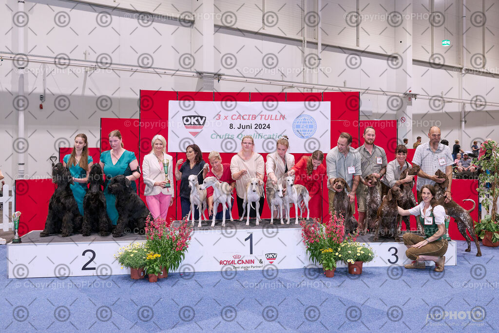 202406_ÖKV-IHA-Tulln24_NZ9_8635 | proPHOTO - Realisiert mit Pictrs.com