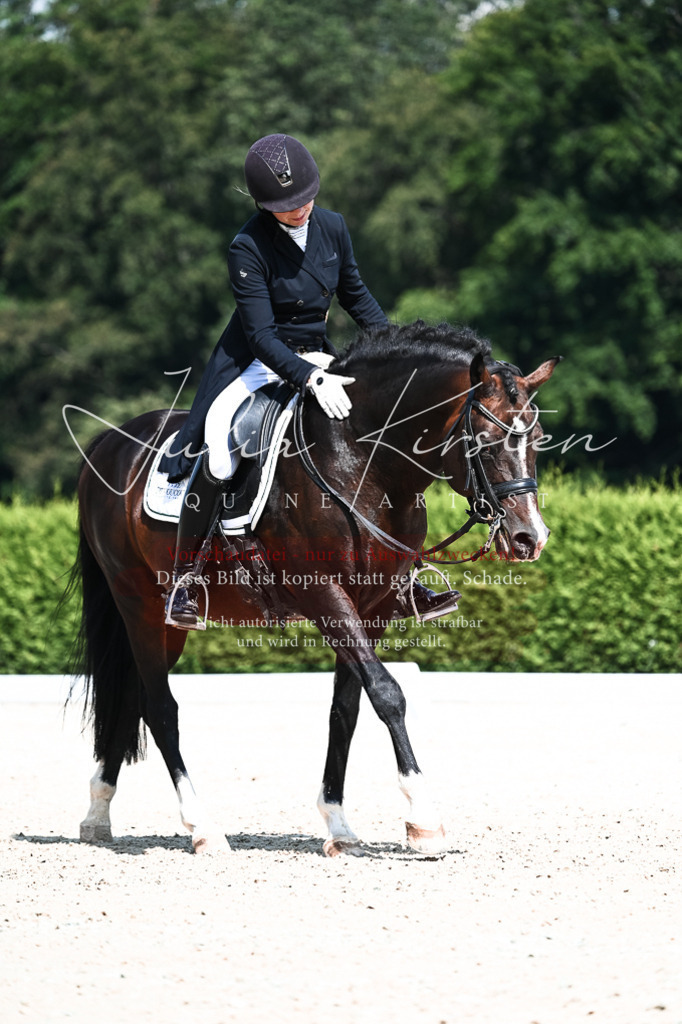 DSC_2980 | Pferde- und Turnierfotografie in Westsachsen. Pferdeportraits, Auftragszeichnungen und intuitive Kunst.