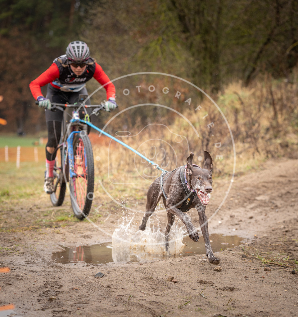 DV3A8987 | Hundefotografie, Tierfotograf, Pfotenfotografie, Fotoshooting Hund, Hunde Portrait, Hundesport, Hundeportraits, Heideshooting, Hunde, Sportfotograf, Hundefotograf, Turnierhundsport, THS,  - Realisiert mit Pictrs.com