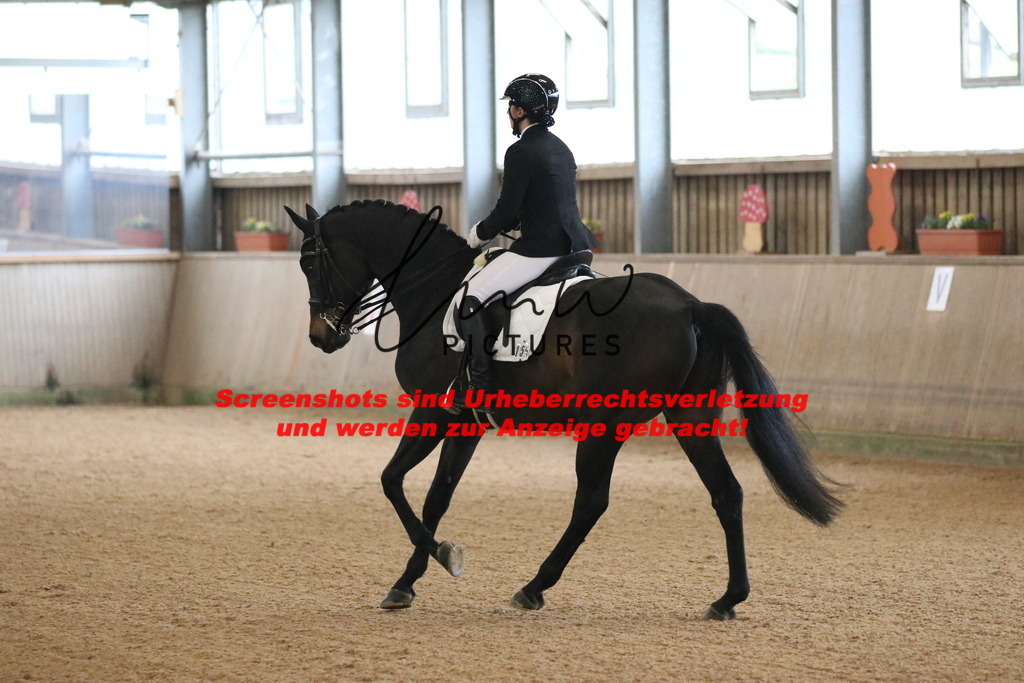 IMG_9200 | lmwpictures - Realisiert mit Pictrs.com