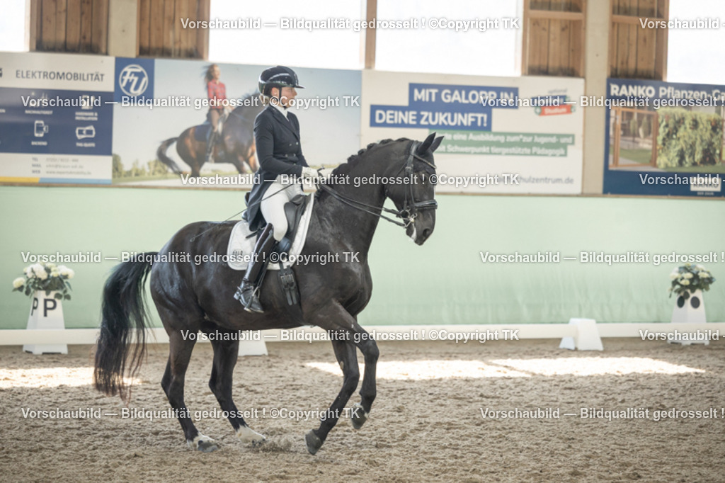 _D5A2113 | Emotionale Pferde- & People-Fotografie rund um Heidelberg, Leimen & Umgebung. Natürliche Fotos von Pferd, Mensch & Familie. Jetzt Termin sichern!