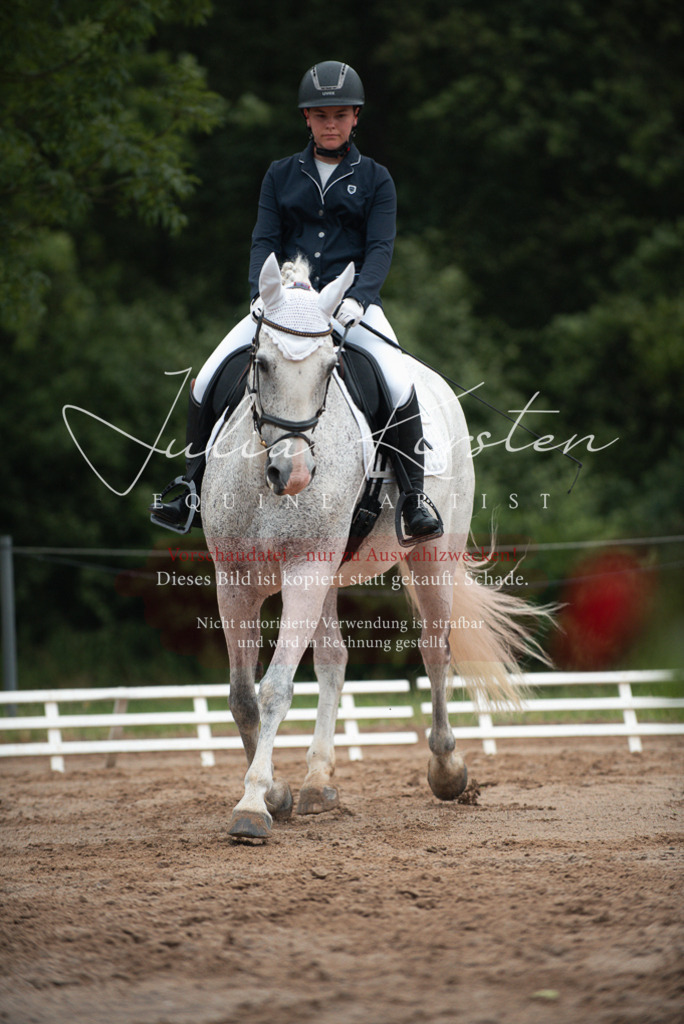 DSC_9676 | Pferde- und Turnierfotografie in Westsachsen. Pferdeportraits, Auftragszeichnungen und intuitive Kunst.