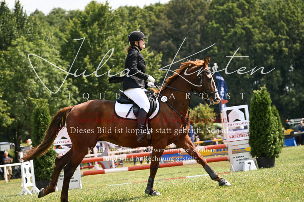 DSC_9048 | Pferde- und Turnierfotografie in Westsachsen. Pferdeportraits, Auftragszeichnungen und intuitive Kunst.