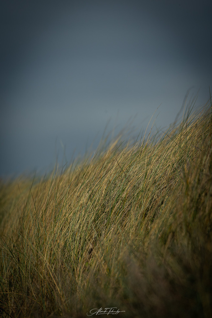 Trankday Zandvoort 2026 | Entdecken Sie die faszinierende Welt von Alexander Tschuncky Arts: Kreative Fotografie, atemberaubende Automobilkunst und hochwertiger Bilderdruck. Lassen Sie sich inspirieren! - Realisiert mit Pictrs.com