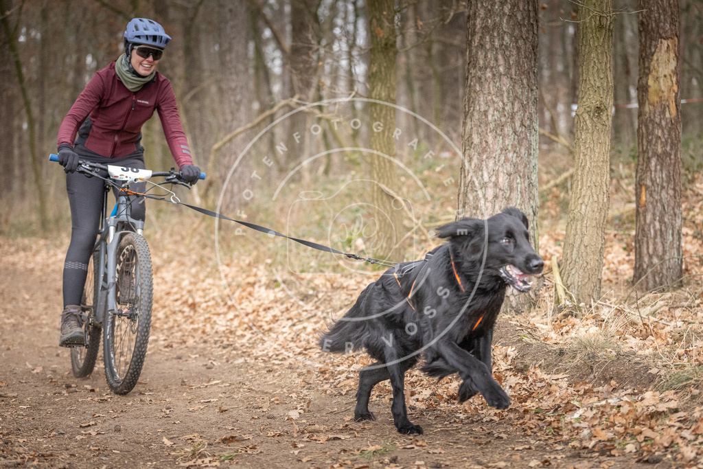 Pfotenfotografie_DV3A5921 | Hundefotografie, Tierfotograf, Pfotenfotografie, Fotoshooting Hund, Hunde Portrait, Hundesport, Hundeportraits, Heideshooting, Hunde, Sportfotograf, Hundefotograf, Turnierhundsport, THS,  - Realisiert mit Pictrs.com