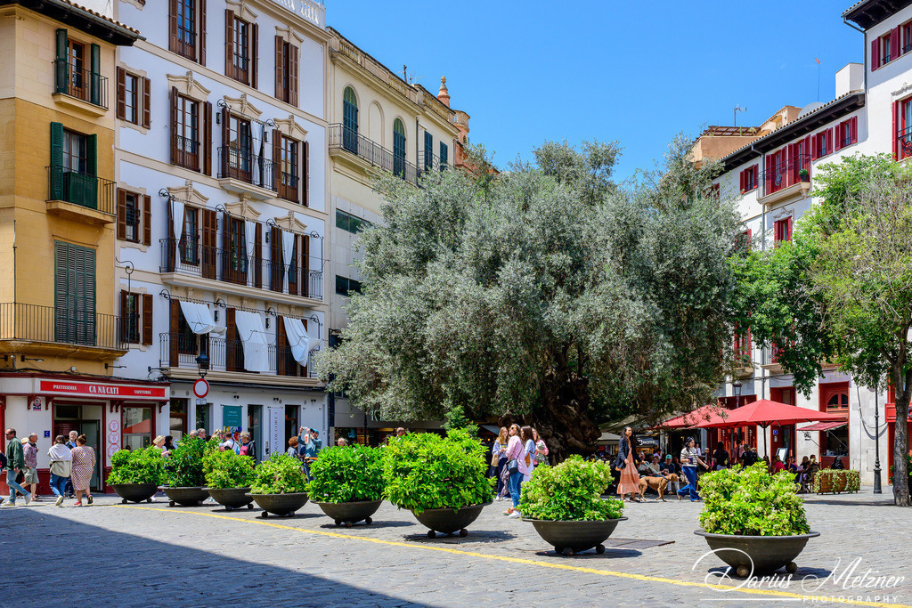 Palma de Mallorca | Palma de Mallorca