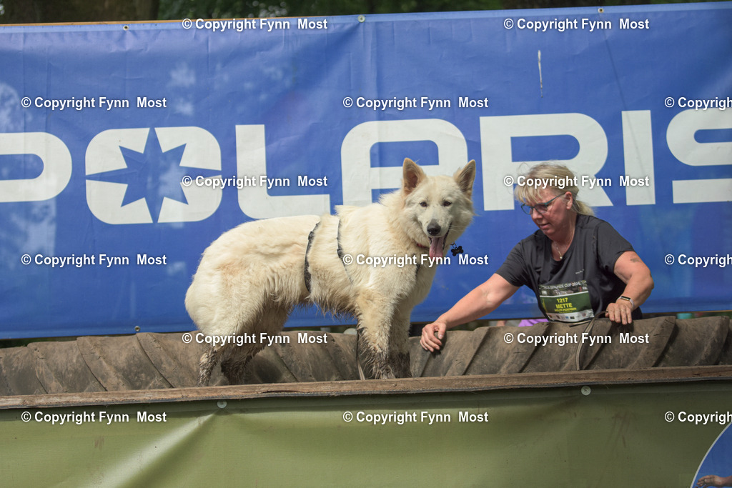 DSC_0921 | Hallo und herzlich Willkommen auf meiner Shop-Seite Fynn Most.

Ich wünsche Dir viel Spaß beim stöbern durch die Bilder, wenn Du Fragen hast oder Bilder vermisst, kannst du mir gerne eine Nachricht schreiben. - Realisiert mit Pictrs.com