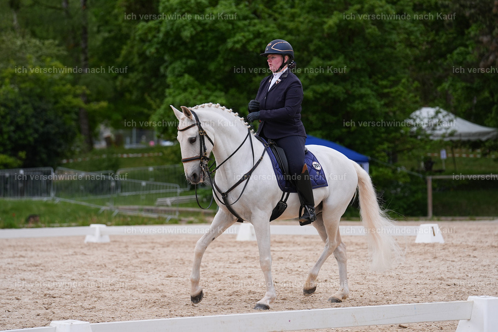 PI26_DR_251_StoibphotographySIN07010.jpg | working equitationturnier fotograf videograf stoibphotography marixx film working equitation deutschland reitsport turnierfotografie eventfotografie equestrian events