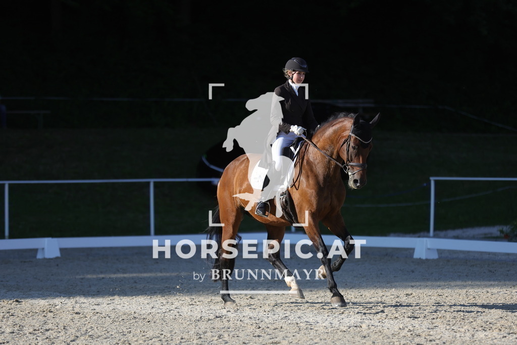 0P6A3162 | Willkommen bei Brunnmayr - Design & Fotografie – Ihrem Spezialisten für Reitturniere und Pferdeveranstaltungen in Oberösterreich, Salzburg und Bayern! Seit über 17 Jahren sind wir leidenschaftlich dabei.
