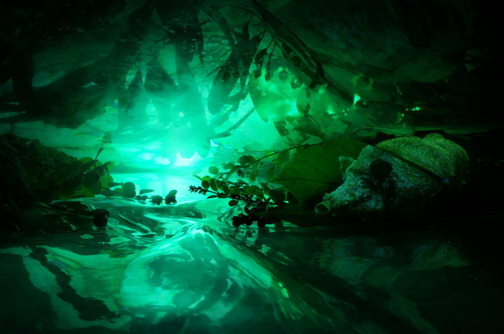 Wildschwein | cornelia-geissler - Realisiert mit Pictrs.com