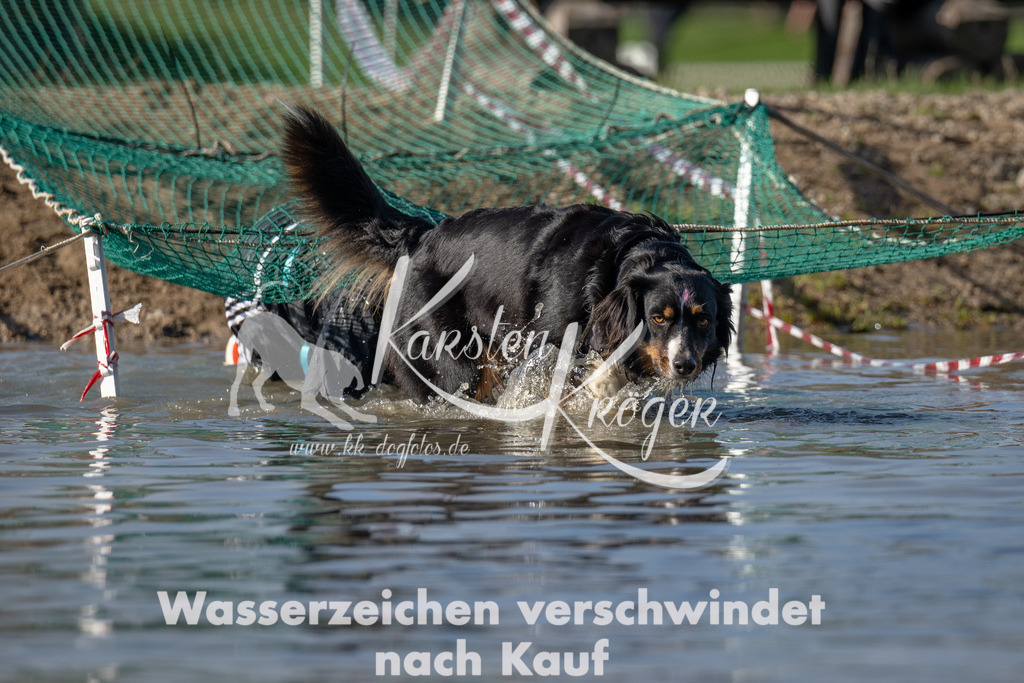 1120_ZZ92365 | kk-dogfotos