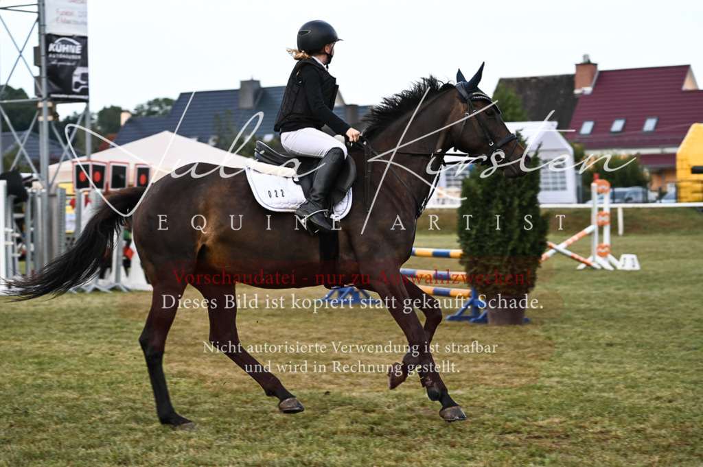 DSC_5576 | Pferde- und Turnierfotografie in Westsachsen. Pferdeportraits, Auftragszeichnungen und intuitive Kunst.
