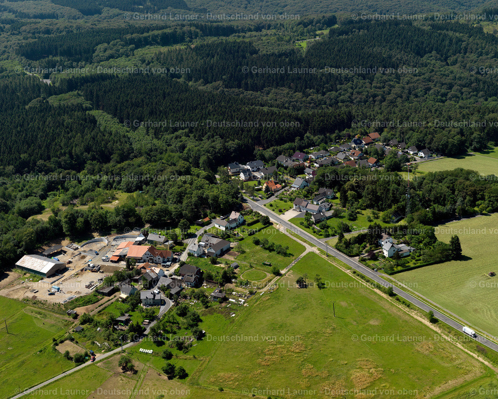 3120228 | Ginsterhahn