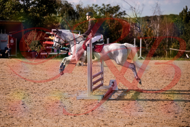 2026_10_03_Siefer-Hof_155127_Z81_70331099 | Professionelle Reitsport-, Turnier- und Eventfotografie von Robert Broda. Galerien mit ausgewählten und bearbeiteten Bildern direkt online ansehen und bestellen.
