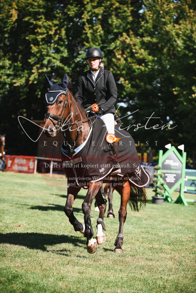 DSC_2643 | Pferde- und Turnierfotografie in Westsachsen. Pferdeportraits, Auftragszeichnungen und intuitive Kunst.
