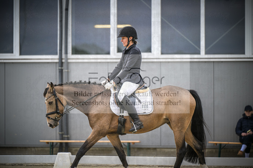 DOS_2378 | Entdecke hochwertige Reitturnierfotos von Foto Oger. Professionell, emotional und authentisch – jetzt Lieblingsmomente im Shop bestellen.Deutschlandweite Turnierfotografie. - Realisiert mit Pictrs.com