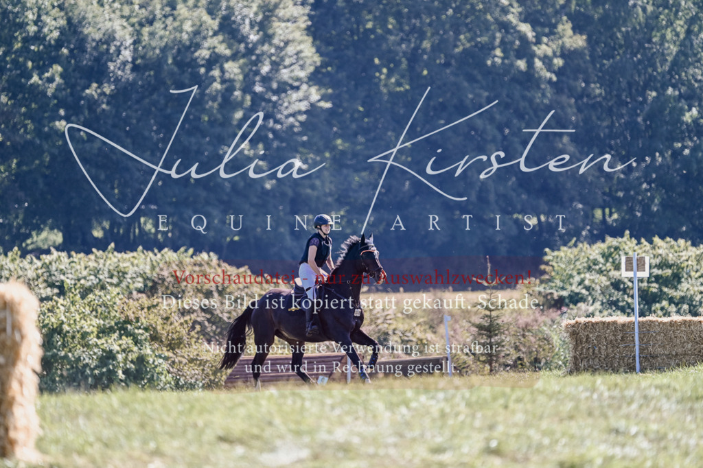 DSC_2883 | Pferde- und Turnierfotografie in Westsachsen. Pferdeportraits, Auftragszeichnungen und intuitive Kunst.