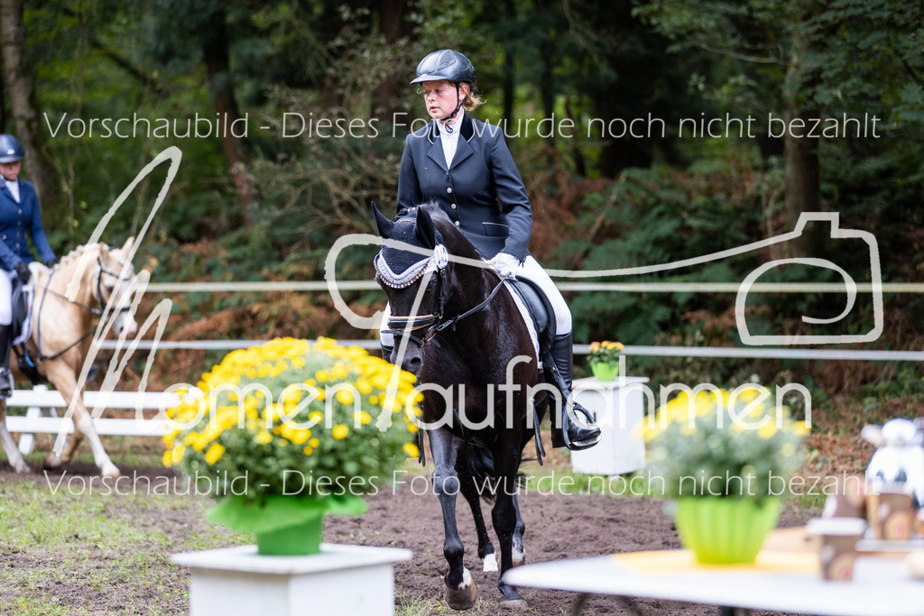 HB-Reiter-WB-078 | MomenTaufnahmen Pferdesportfotos