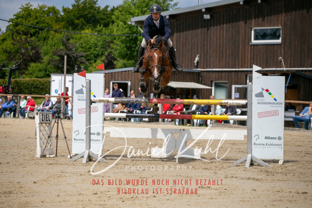 IMG_5632 | Turniersportfotografie; Pferdefotografie; Dressurfotografie