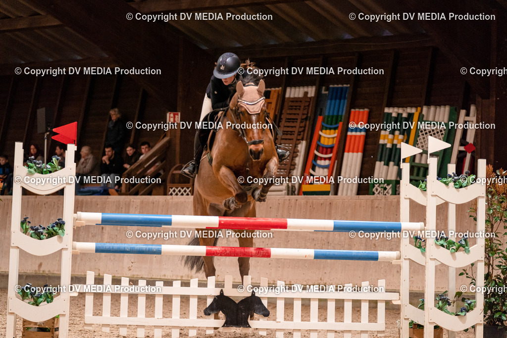 Springen Tag 2-748 | dv-media-shop - Realisiert mit Pictrs.com