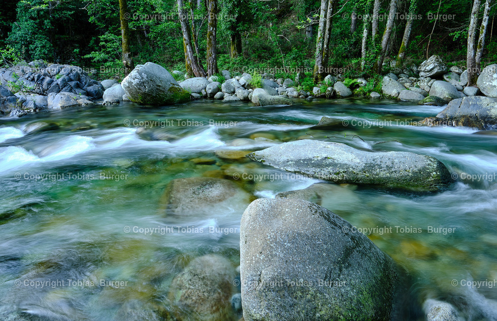 _DSF2533 2 | Willkommen im Online-Shop von studio27!
 - Realisiert mit Pictrs.com