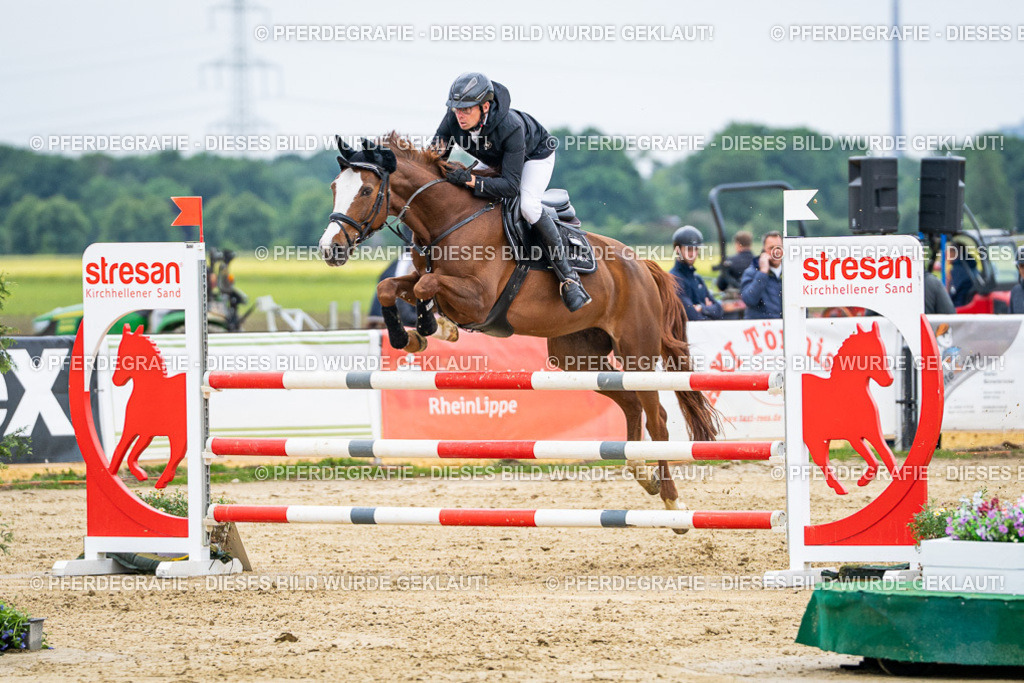 DSC06315 | Pferdegrafie