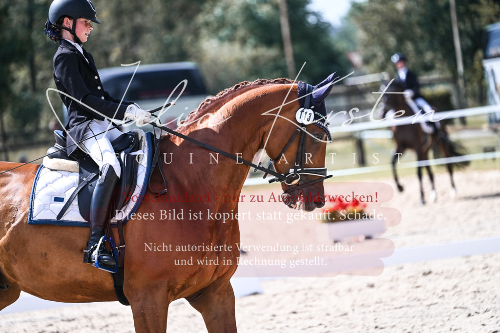 DSC_5089 | Pferde- und Turnierfotografie in Westsachsen. Pferdeportraits, Auftragszeichnungen und intuitive Kunst.