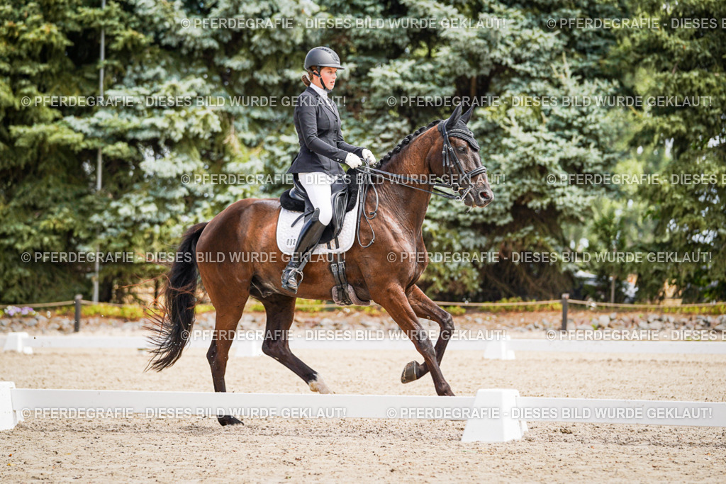 DSC03492 | Pferdegrafie