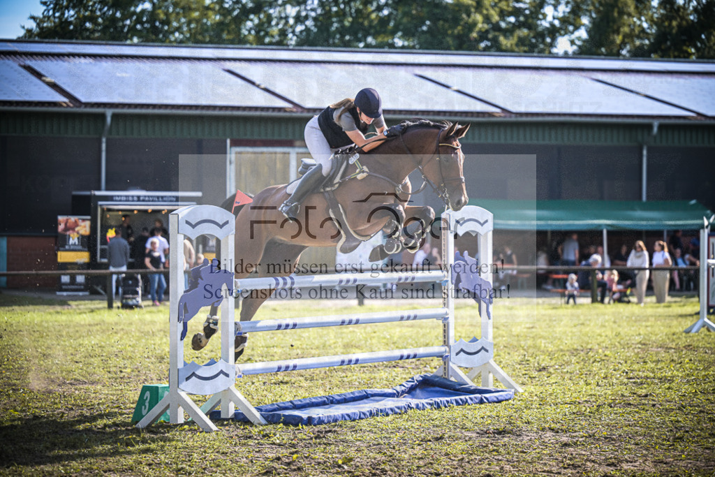 DOS_0042 | Entdecke hochwertige Reitturnierfotos von Foto Oger. Professionell, emotional und authentisch – jetzt Lieblingsmomente im Shop bestellen.Deutschlandweite Turnierfotografie. - Realisiert mit Pictrs.com