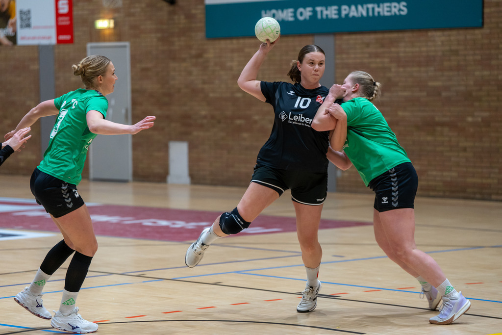 DSC00728 | joyce-fotografiert - Realisiert mit Pictrs.com