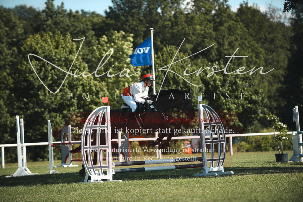 DSC_7403 | Pferde- und Turnierfotografie in Westsachsen. Pferdeportraits, Auftragszeichnungen und intuitive Kunst.