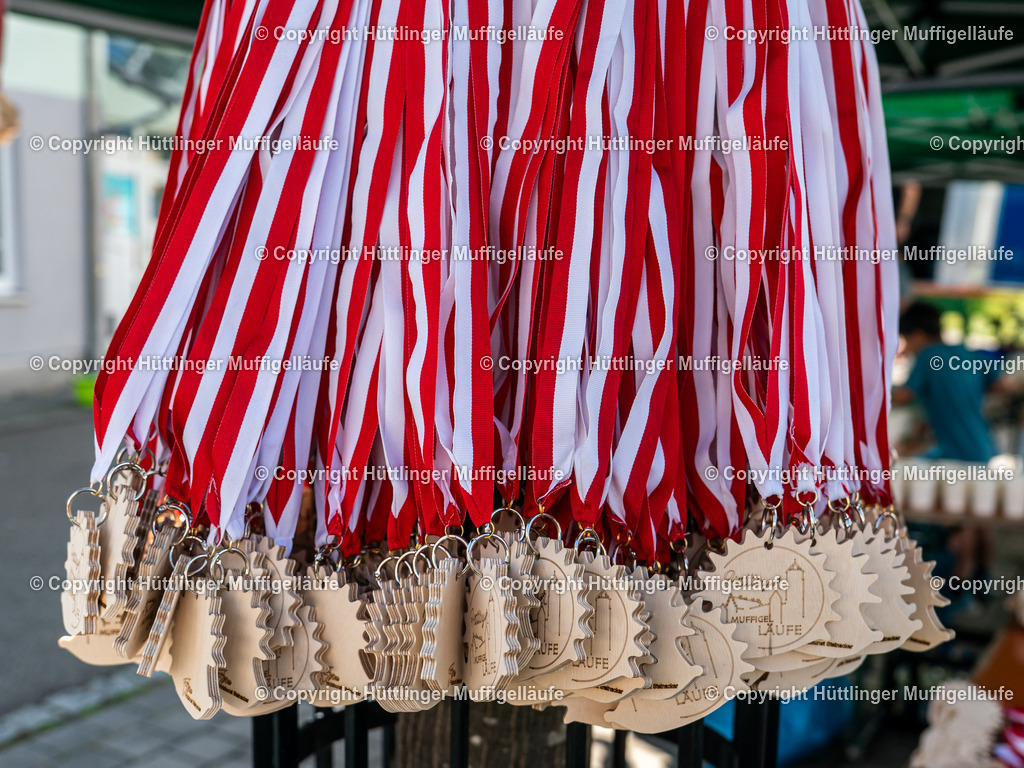 20250621-DSC01056 | Hüttlinger Muffigelläufe - Realisiert mit Pictrs.com