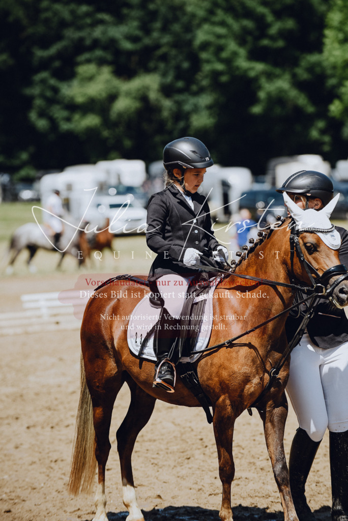 DSC_2408 | Pferde- und Turnierfotografie in Westsachsen. Pferdeportraits, Auftragszeichnungen und intuitive Kunst.