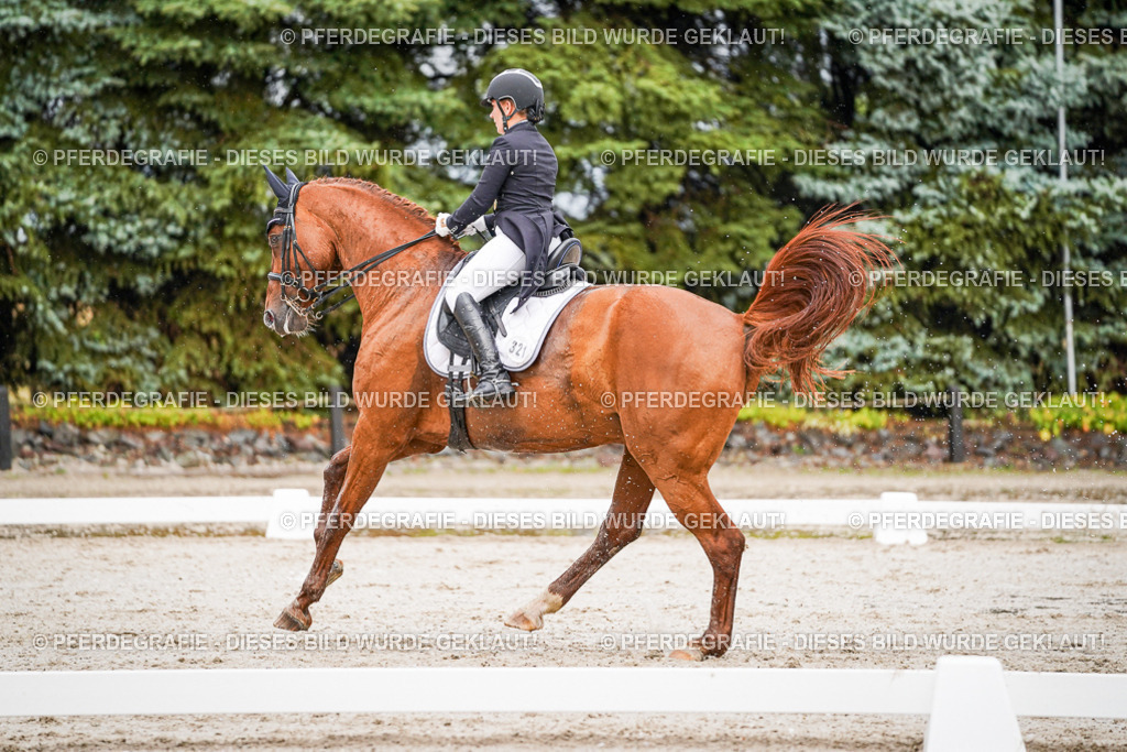 DSC09556 | Pferdegrafie