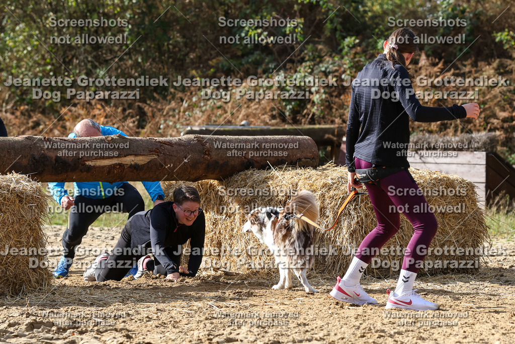Dog Paparazzi - Strongdog 10-25-5644 | Dog Paparazzi Jeanette Grottendiek Fotografie & Videografie - Realisiert mit Pictrs.com