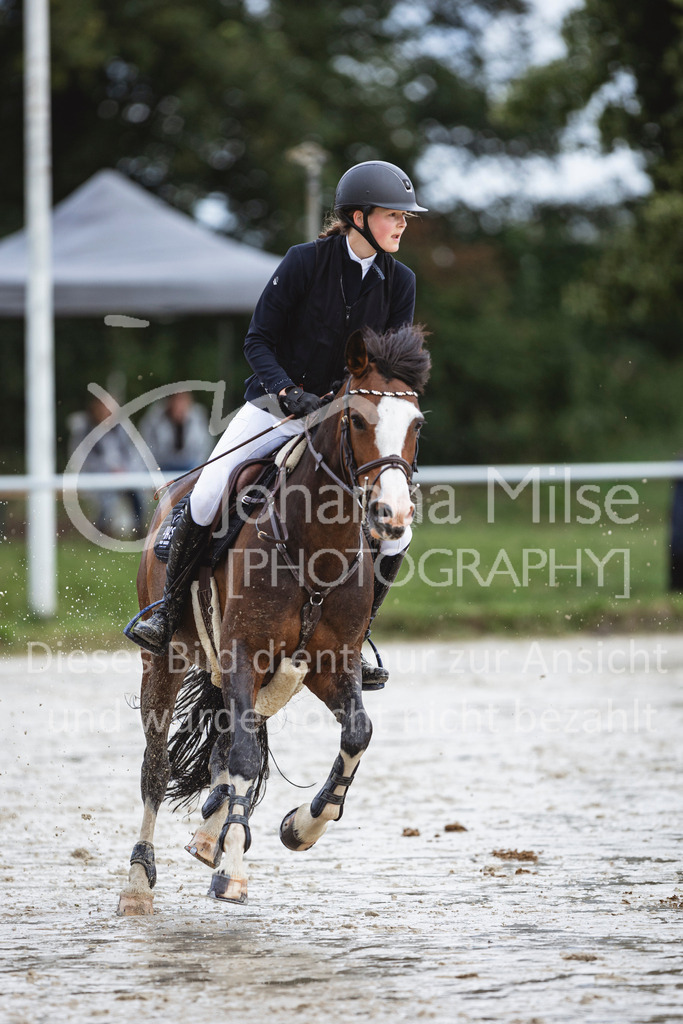 240615_CoesfeldLette_Stil-A-152 | Deine schönsten Turniermomente als professionelle Fotos! Entdecke hochwertige Pferdesport-Fotografie im Online-Shop. Jetzt Fotos finden & bestellen!