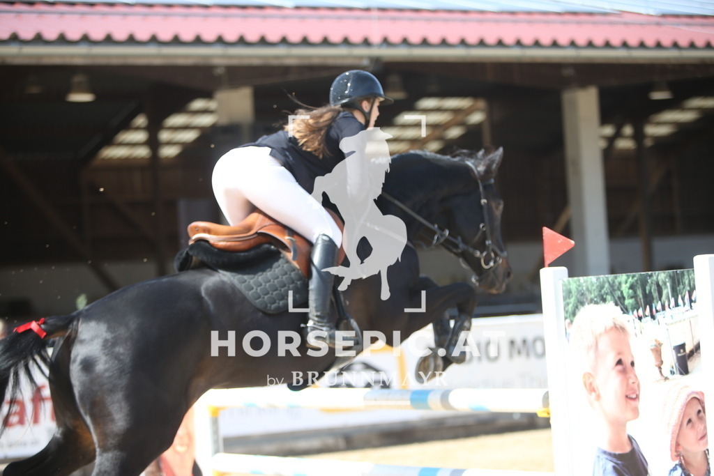 PP015100 | Willkommen bei Brunnmayr - Design & Fotografie – Ihrem Spezialisten für Reitturniere und Pferdeveranstaltungen in Oberösterreich, Salzburg und Bayern! Seit über 17 Jahren sind wir leidenschaftlich dabei.