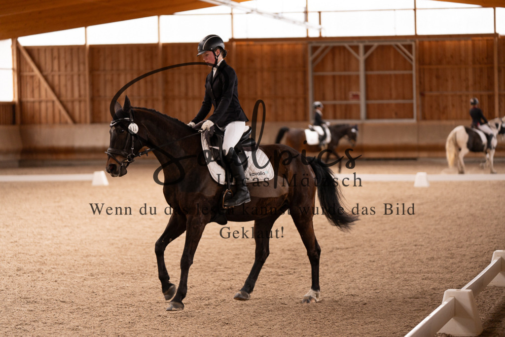 A7506831 | Turnier/Reitfotograf