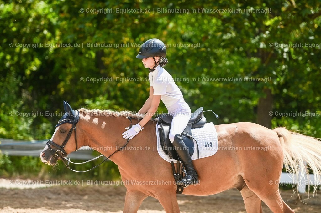 20230715_09_Dressur-WB_0294 | equistock