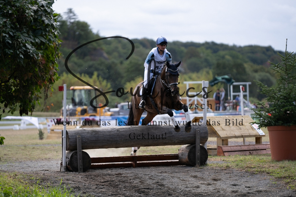 A7V01136 | Pferdefotograf