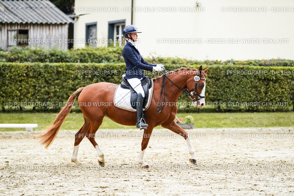 DSC07530 | Pferdegrafie