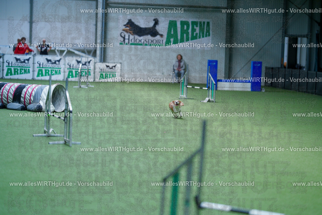 @allesWIRTHgut_Tierfotografie - www.allesWIRTHgut.de - 2604261221-7R500732 | Professionelle Tierfotografie in Mönchengladbach von Daniel Wirth (allesWIRTHgut). Liebevolle & natürliche Bilder von Hunden & Katzen für unvergessliche Erinnerungen.