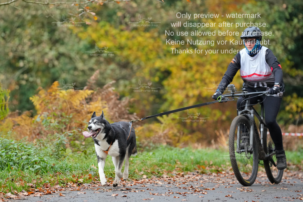 Bike_So-183 | stephaniefillaphotographie - Realisiert mit Pictrs.com