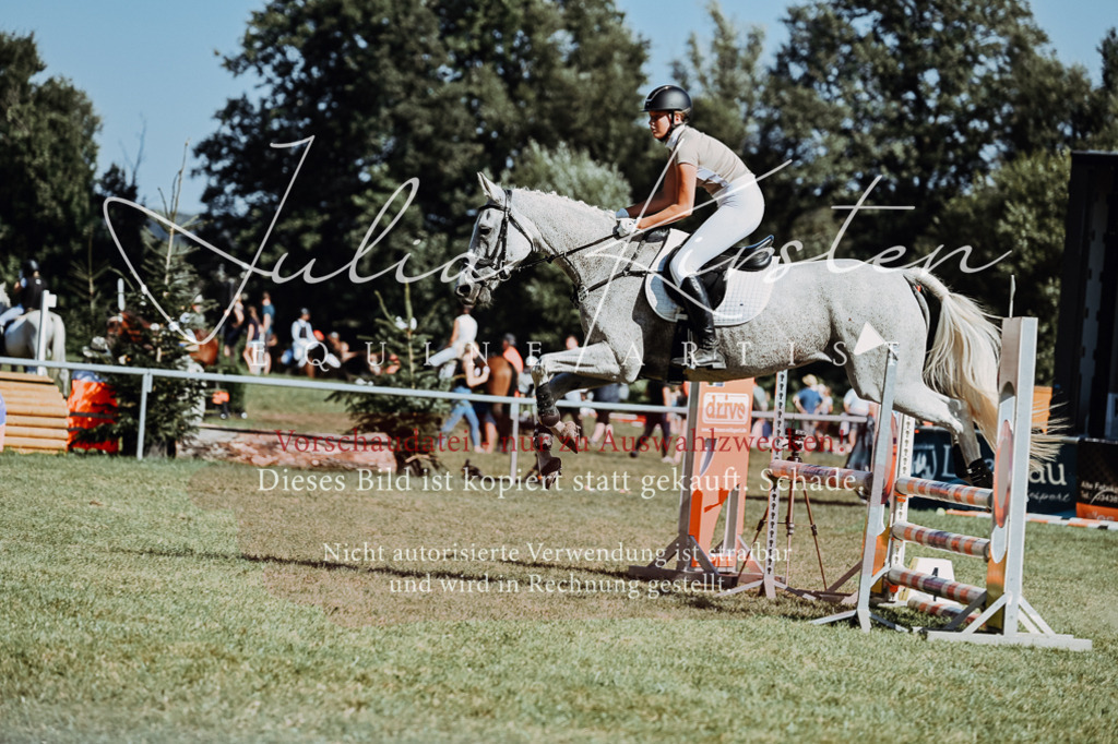 DSC_6871 | Pferde- und Turnierfotografie in Westsachsen. Pferdeportraits, Auftragszeichnungen und intuitive Kunst.